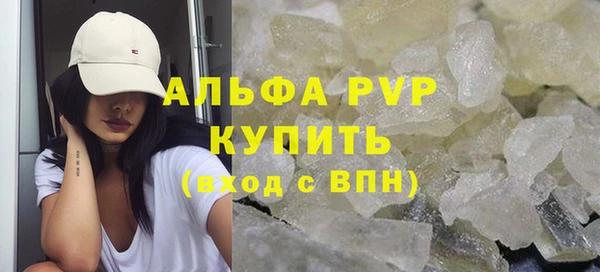 твердый Козельск