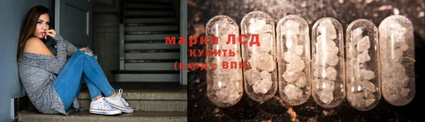 твердый Козельск