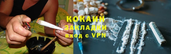 твердый Козельск