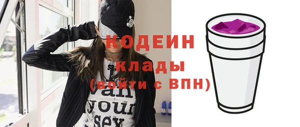 твердый Козельск