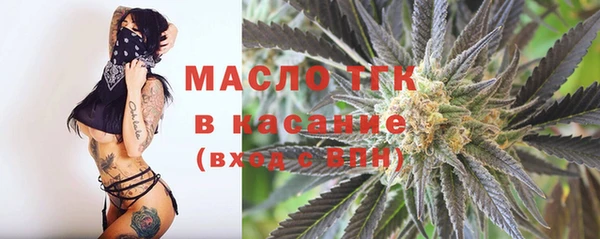 твердый Козельск