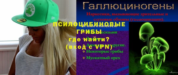 твердый Козельск