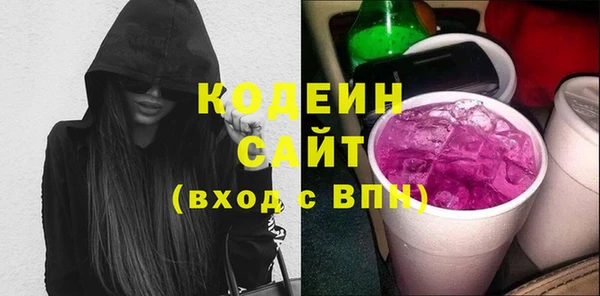 твердый Козельск