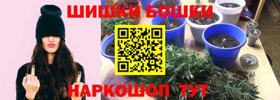 мяу мяу мука Беслан