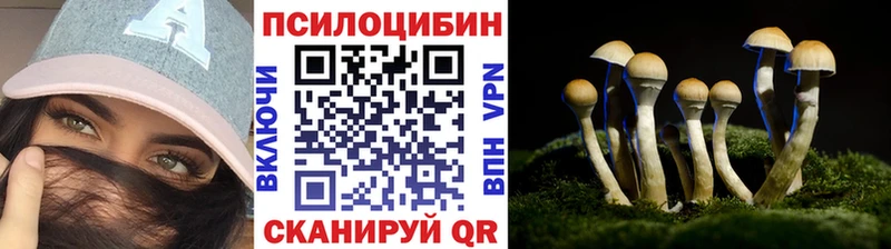Галлюциногенные грибы мицелий  Домодедово 