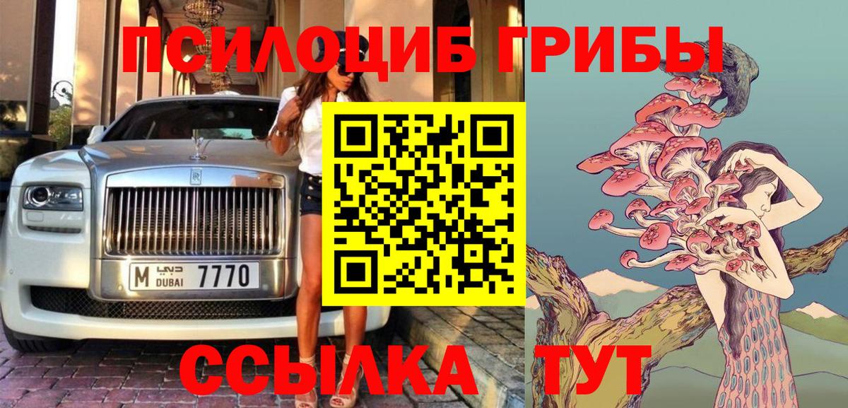 Галлюциногенные грибы Psilocybe Домодедово