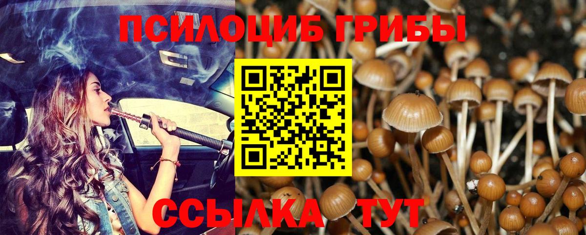 Галлюциногенные грибы GOLDEN TEACHER  Вход с VPN  Домодедово 