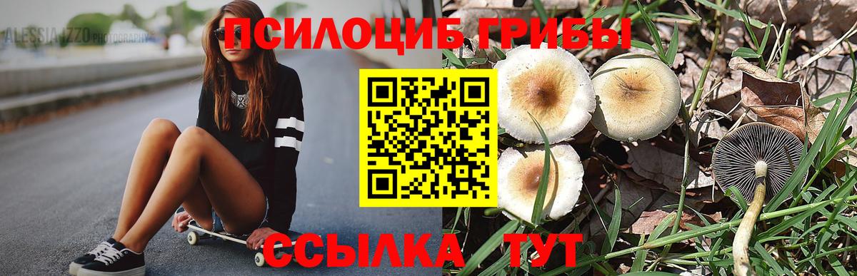 A PVP Домодедово