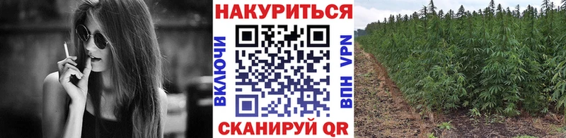 Бошки марихуана Ganja  Домодедово 